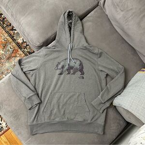 THE NORTH FACE HOODIE SWEATSHIRT MENS XL GRAY WITH BEAR GRAPHIC